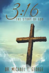 316_thestory