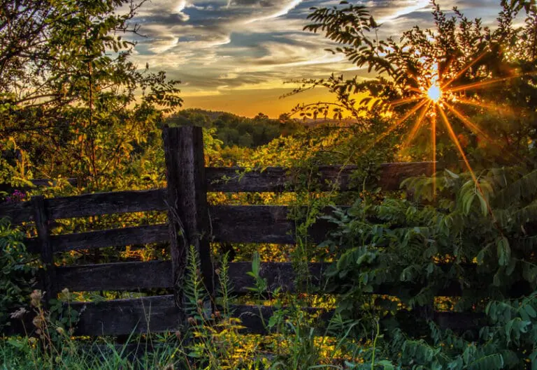 REVEALING God’s Glory Feb-Mar 2020