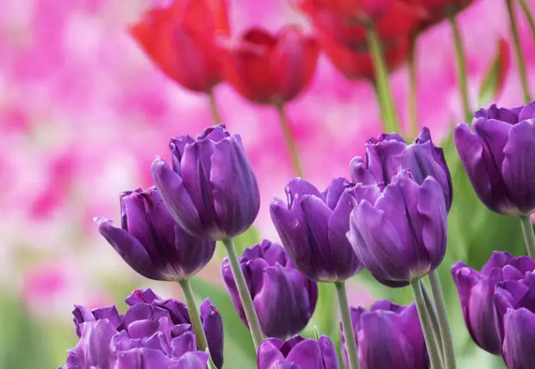 Having Ought Against Any