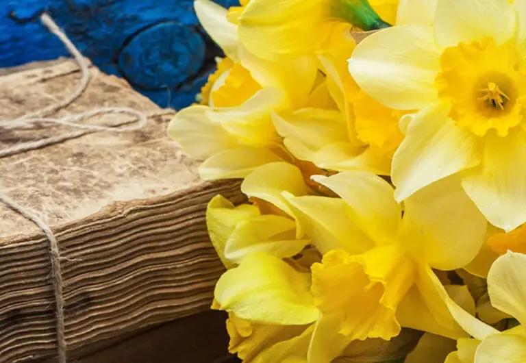 Editor’s Letter: Taking Ground