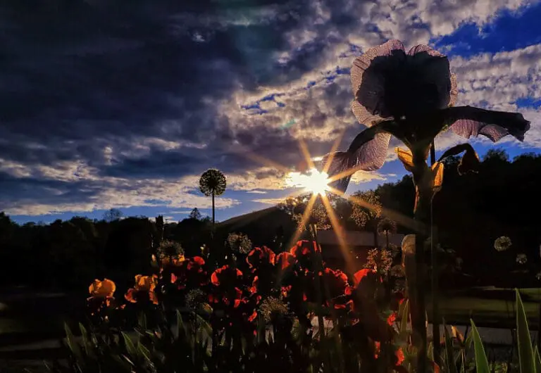 REVEALING God’s Glory Aug-Sept 2020