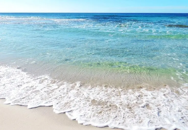 Editor’s Letter: Be Ye Bringers of Light