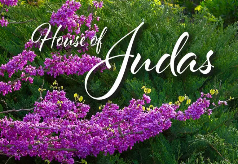 House of Judas