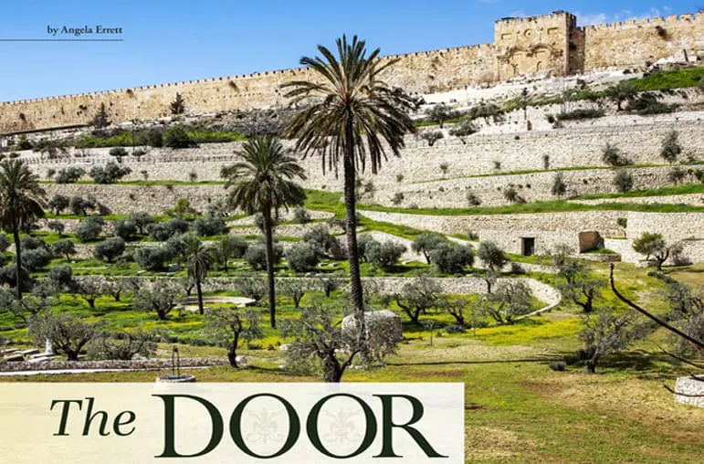 The Door
