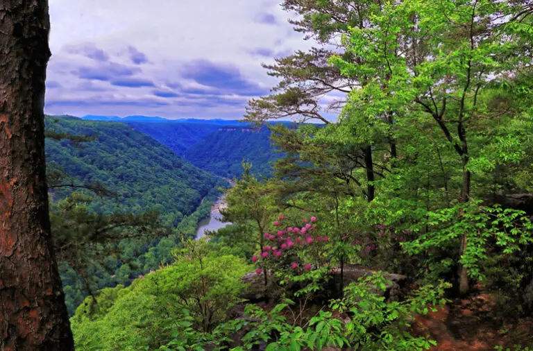 A New Season: Thank You Al Tucker!