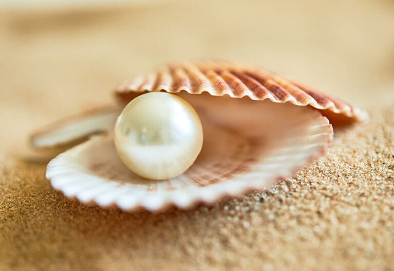 Cast Your Pearls