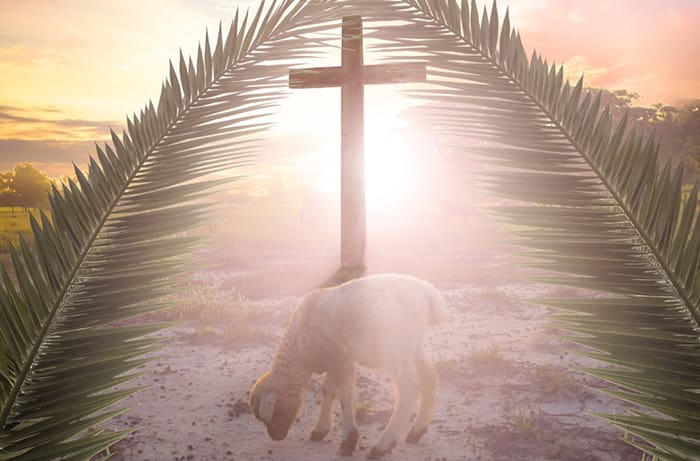 paschal-lamb-easter-s-passover-lamb-was-fulfilled