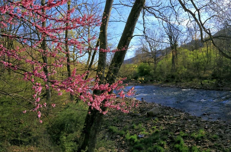 Springtime Lessons