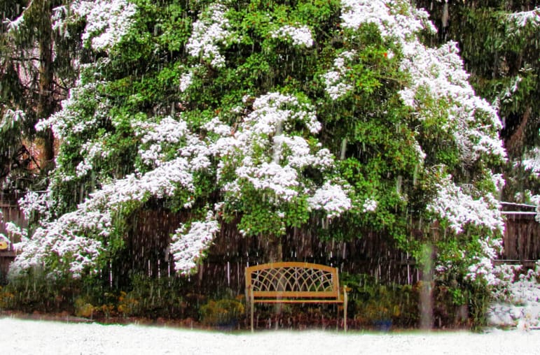 All Honor is His; Empty bench in the snow