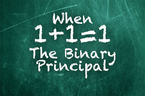 When 1+1=1 The Binary Principal