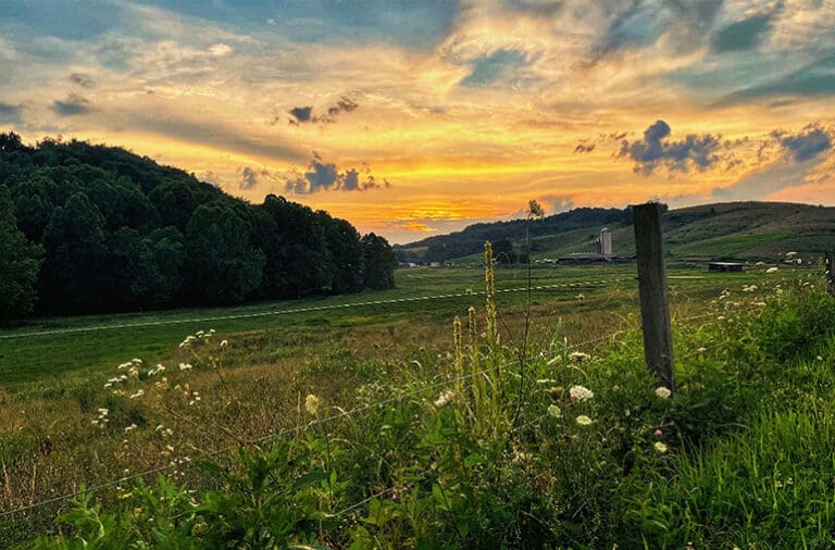 REVEALING God’s Glory: Contentment