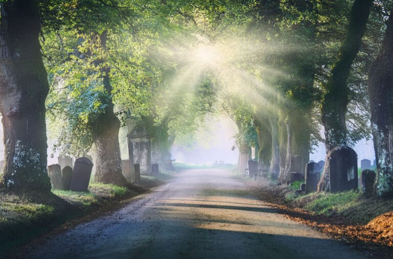 Out of the Tombs, Into the King’s Light